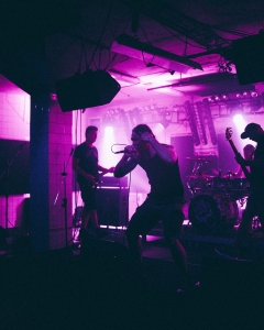 From-Insight-SICK-62