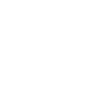 TSlogoWhiteTransBckgrnd final